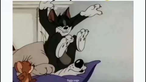 WHY YOU LIKE TOM JERRY AND DOG
