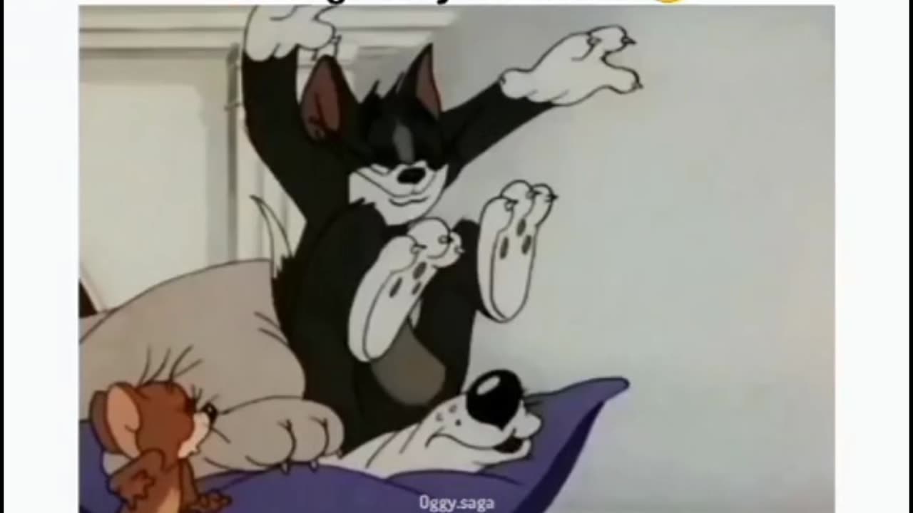 WHY YOU LIKE TOM JERRY AND DOG