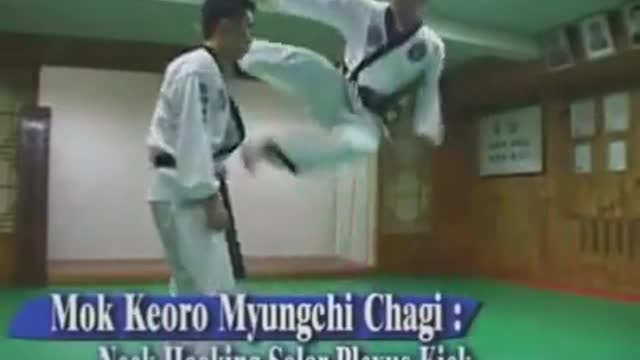 Hapkido Kicking