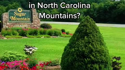 Who else is celebrating4th of Julyin North CarolinaMountains?