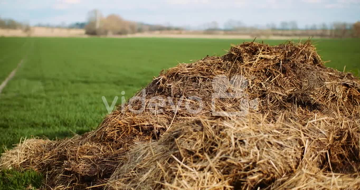 Manure Lying In Field In Countryside