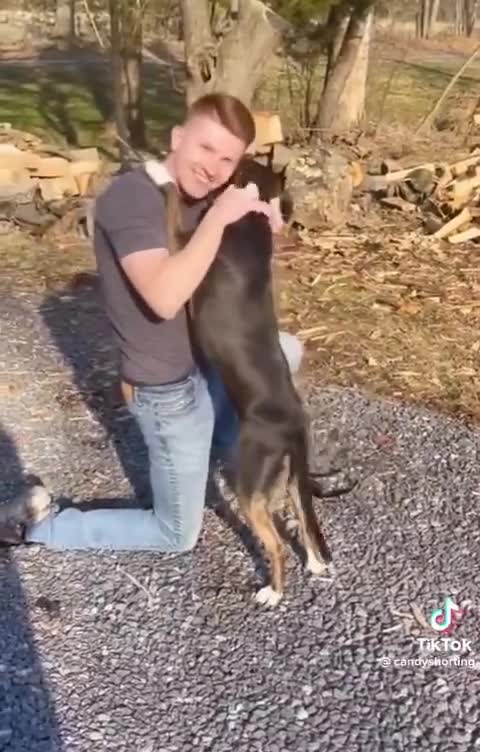 Dog Reconnects with Owner After 8 Month Deployment