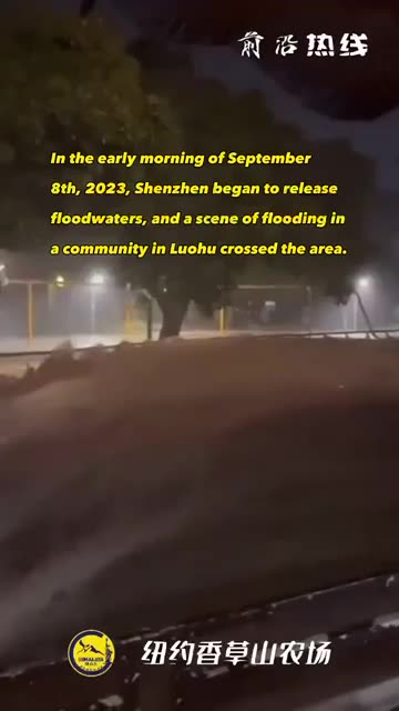 2023年9月8日凌晨深圳开始泄洪，罗湖某小区洪水过境一幕。
