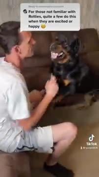 Rottweiler cries and attacks over nail clipping