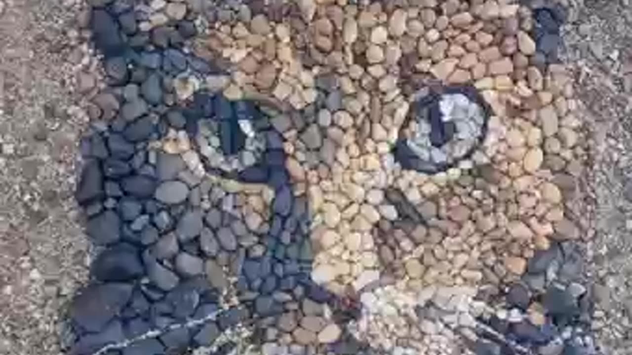 Artist creates cat from pebbles