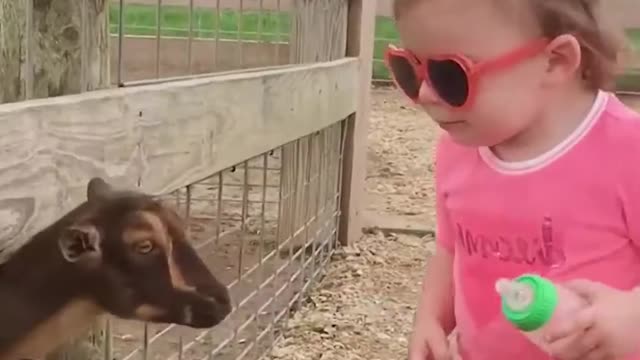 🐥🍼 baby funny animals prank!!cute babies!!