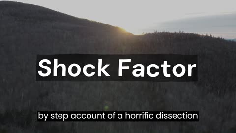 Shock Factor ||CREEPYPASTA