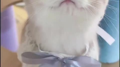 Hmmm🥰 so cute😍