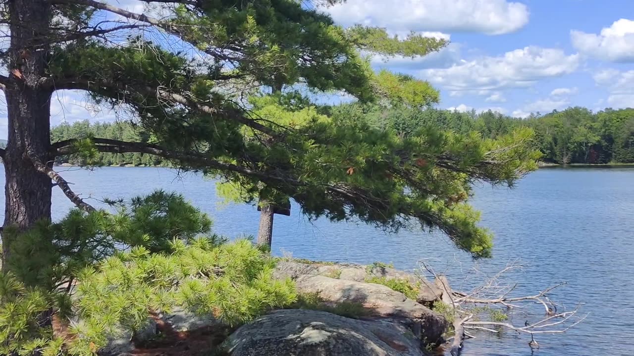 🇨🇦CANADA🇨🇦 - A day in PARADISE !!! What better word describe it ? #nature #lake #travel #canada