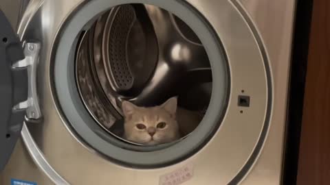 No wonder the laundry never gets clean