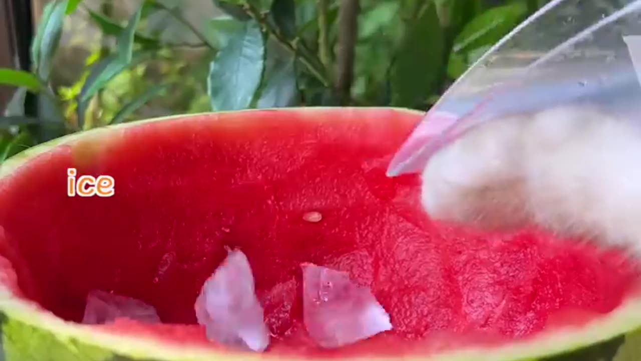 Meow~Super Huge Watermelon Sago Dessert!🍉🍡_ASMR Summer Drinks _ Cat Cooking-TikTok #Shorts