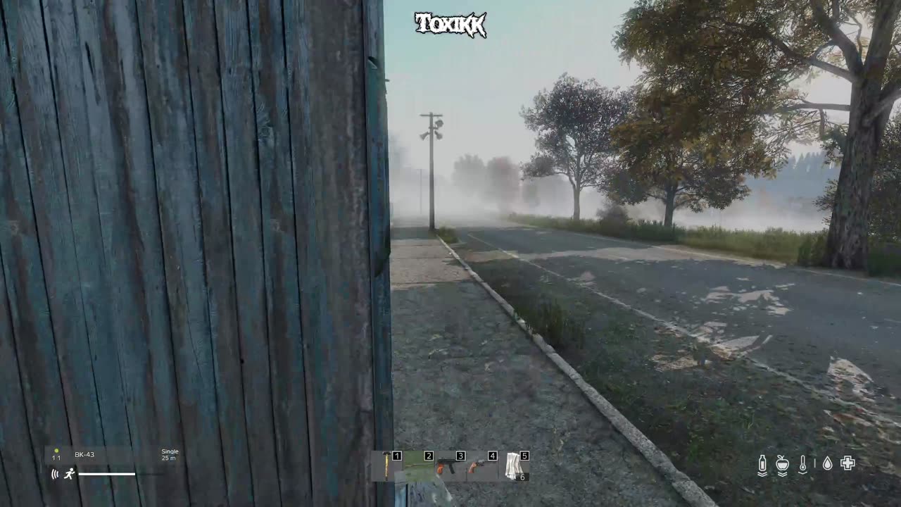 One man's garbage is another man person's good un-garbage (DayZ)