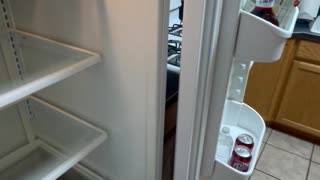 Fridge Door Falls Off