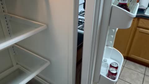 Fridge Door Falls Off