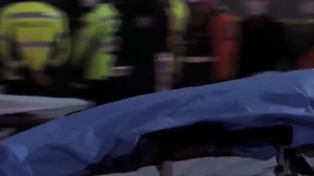 이태원 환생시체씨쥐cg (1080p)