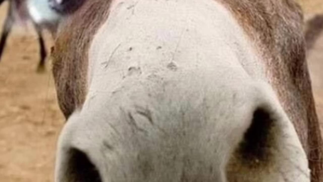 A day without laughter is a day without meaning😁😁😁😁😁😁