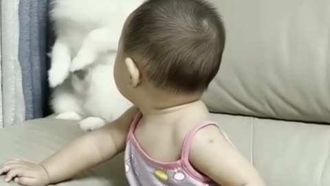 Cute baby and dog