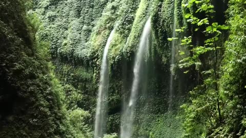 Beauty of Nature