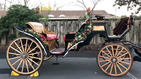Black and Tan Carraige
