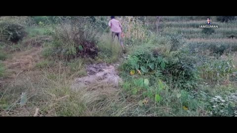 Beautiful Nepal Vallage 🙏 Watch Nepal 🙏