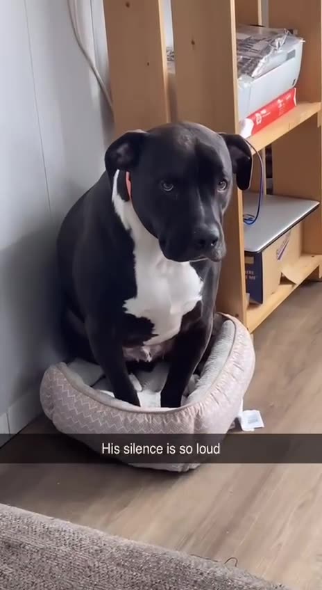 What you get for being a nice guy in 2024 😂