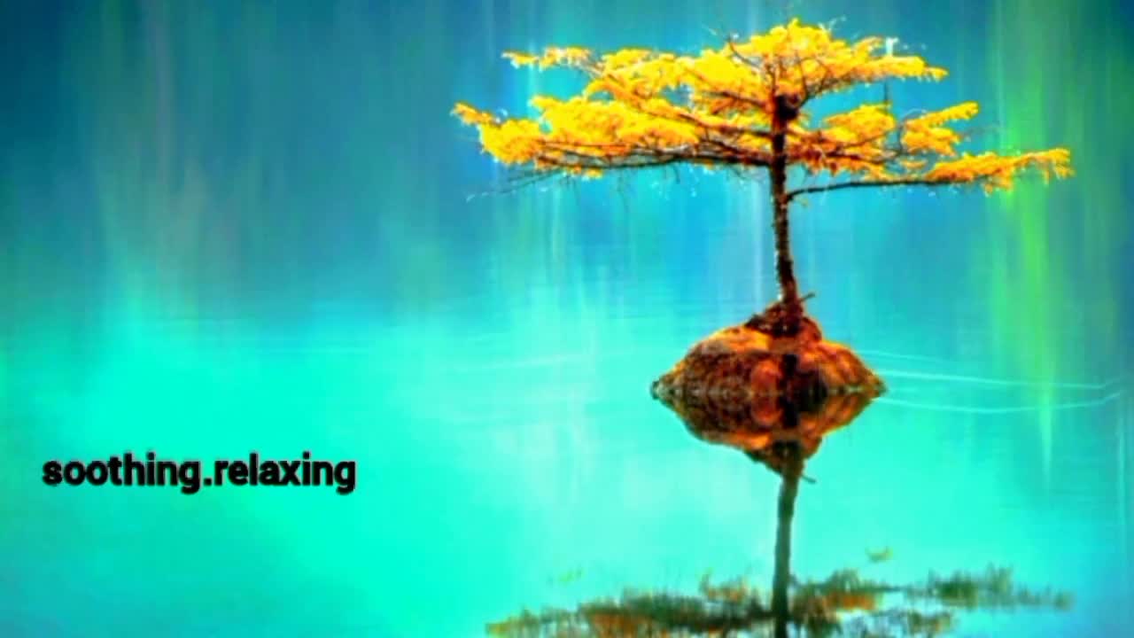 Meditation Beautiful Relaxing Music for Stress Relief ~ Calming Music