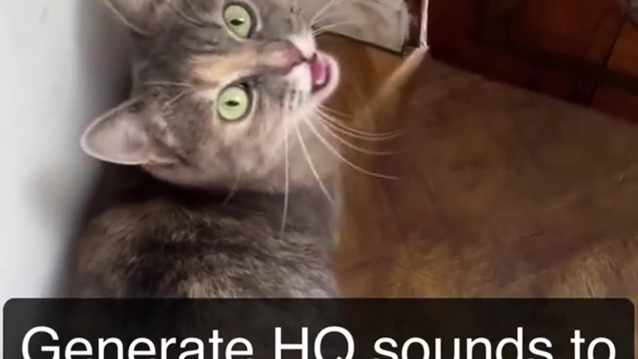 Sounds attract cats