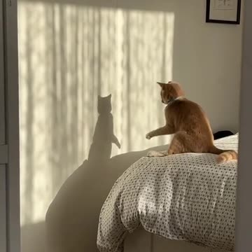 Dancing with my shadow 😍😍