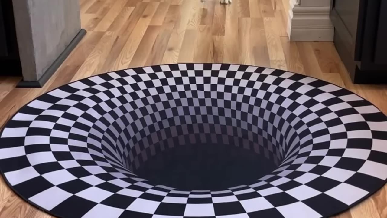 Dog's Hilarious Reaction to Stepping onto an Optical Illusion Rug!