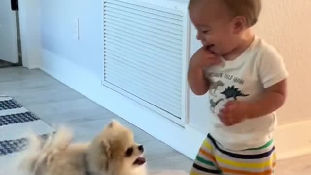 this baby is friendly with puppies this baby is laughing so hard