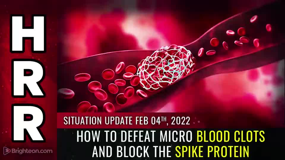02-04-22 S.U. - How to DEFEAT Micro Blood Clots And BLOCK The Spike Protein