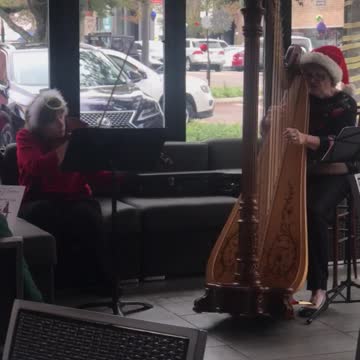 Sue Carmichael & Ann Nasrallah “Twelve Days of Christmas” with Harp & Violin