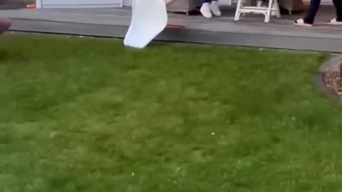 The end 😂😂😂 #viral #shorts #funny #fails #laughcatalog