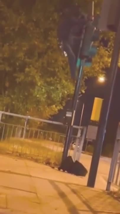 A Bladerunner hard at work