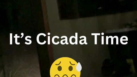 INVASION OF CICADAS: PART ONE