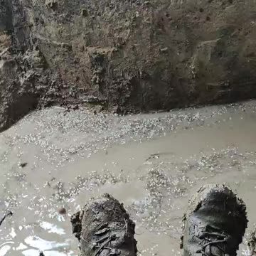The trenches of the Armed Forces of Ukraine in the Zaporozhye direction.