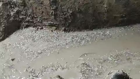 The trenches of the Armed Forces of Ukraine in the Zaporozhye direction.