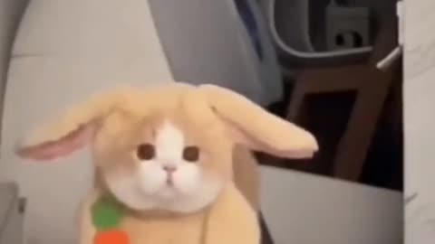 meu Deus 😍😍
