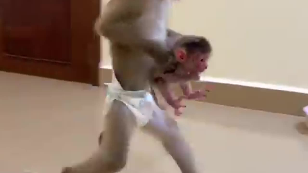 monkey with pumper