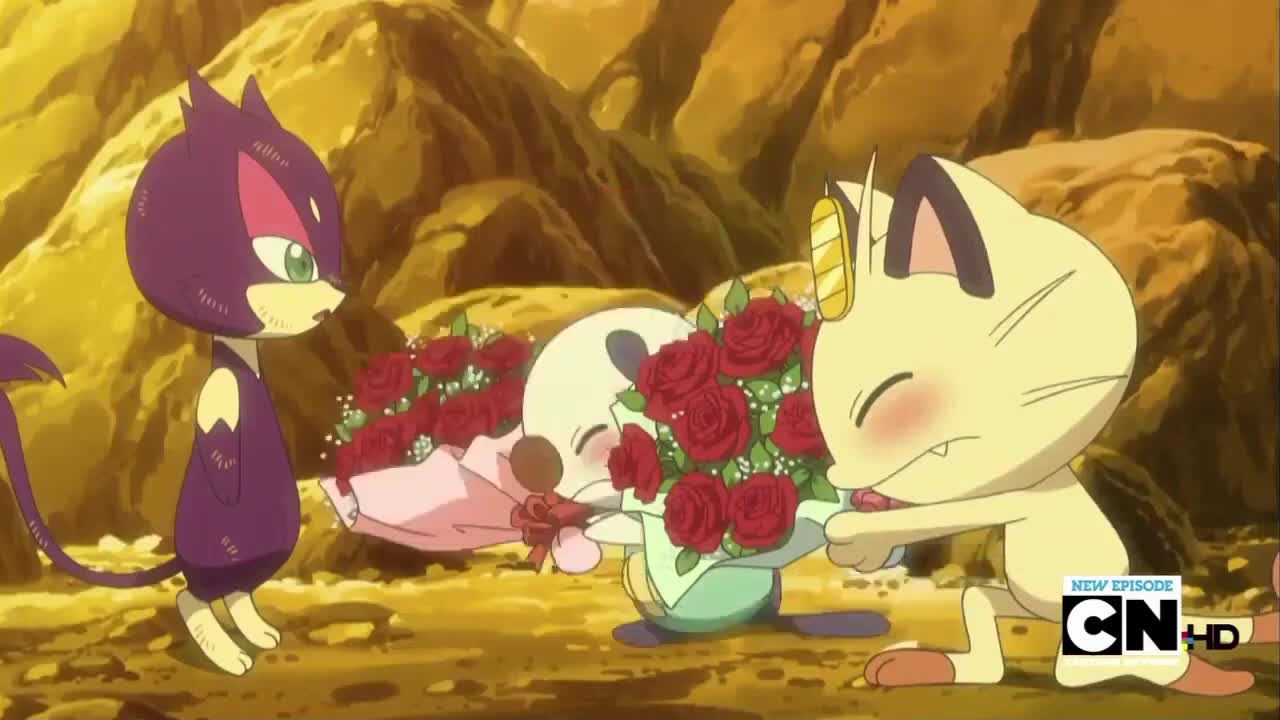 Best Wishes Meowth asks Purrloin to date him