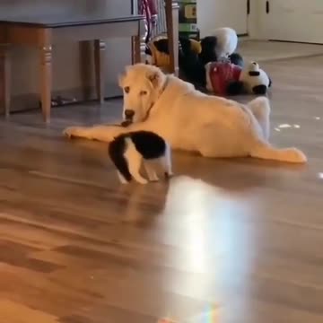 They are so cute!! 🥰🥰😍