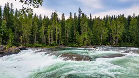 Relax Library: Video 44.River stream slowly running. Relaxing videos and sounds