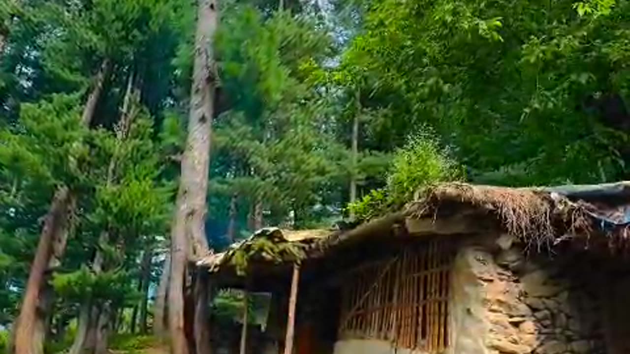 Kashmir valley