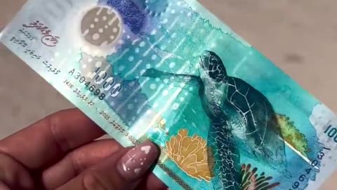 is this the prettiest currency in the world?