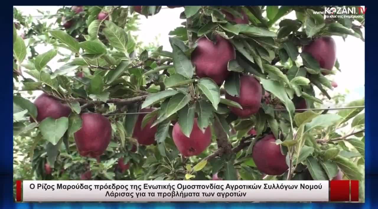 ΑΚΟΥΣΤΕ ΤΙ ΓΙΝΕΤΑΙ ΜΕ ΤΑ ΜΗΛΑ