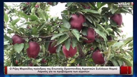 ΑΚΟΥΣΤΕ ΤΙ ΓΙΝΕΤΑΙ ΜΕ ΤΑ ΜΗΛΑ