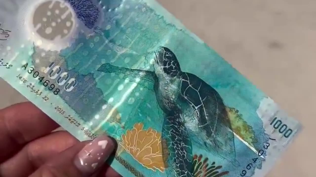 1000 rufiya from the Maldives repeats the patterns on the skin of a whale shark and a green turtle.