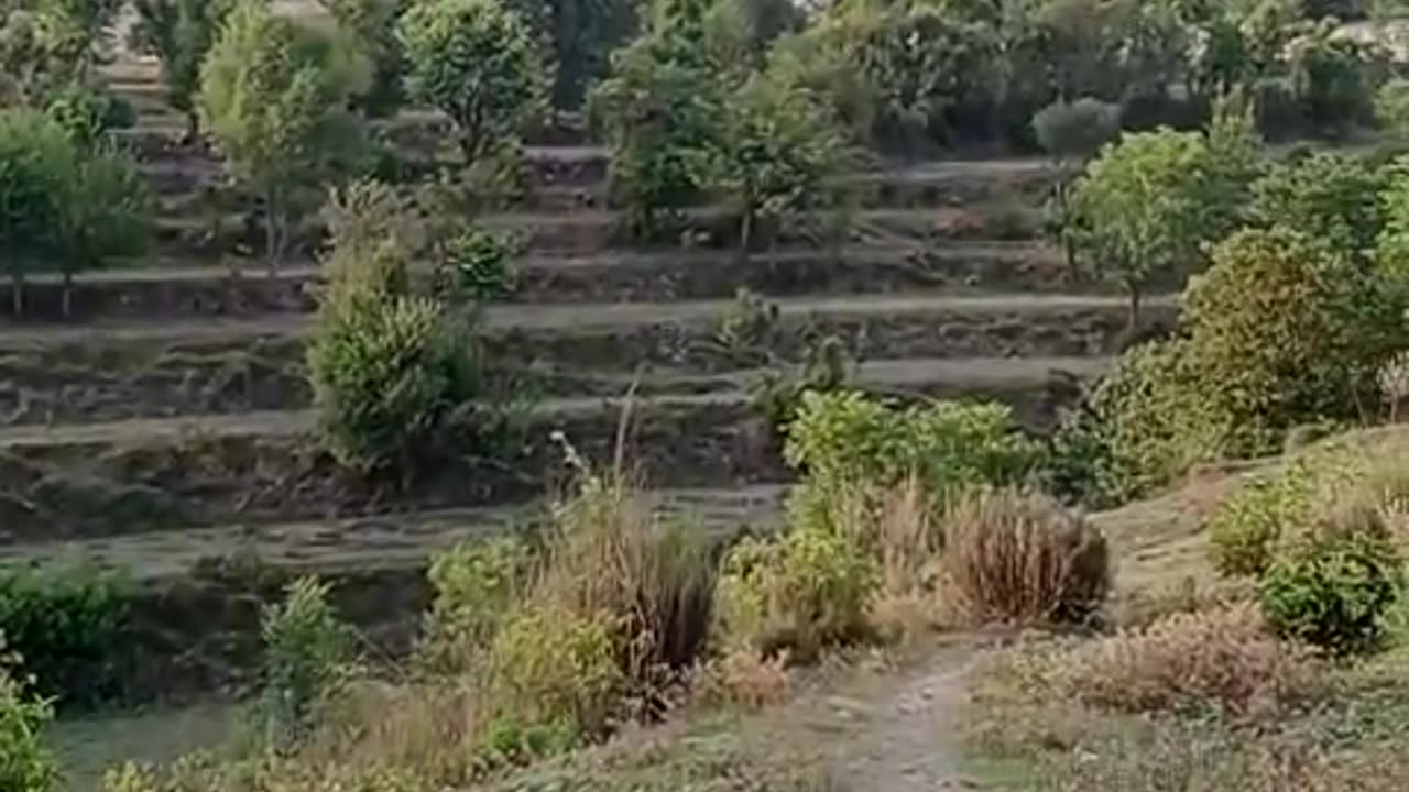 Beautiful view of kpk viilage khanpur distt hazara