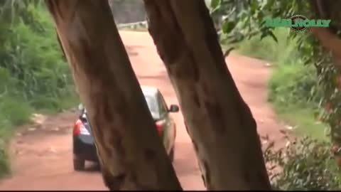 Why you running