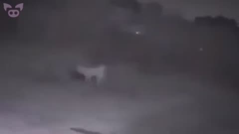REAL GHOSTS Caught on Camera? You Decide!